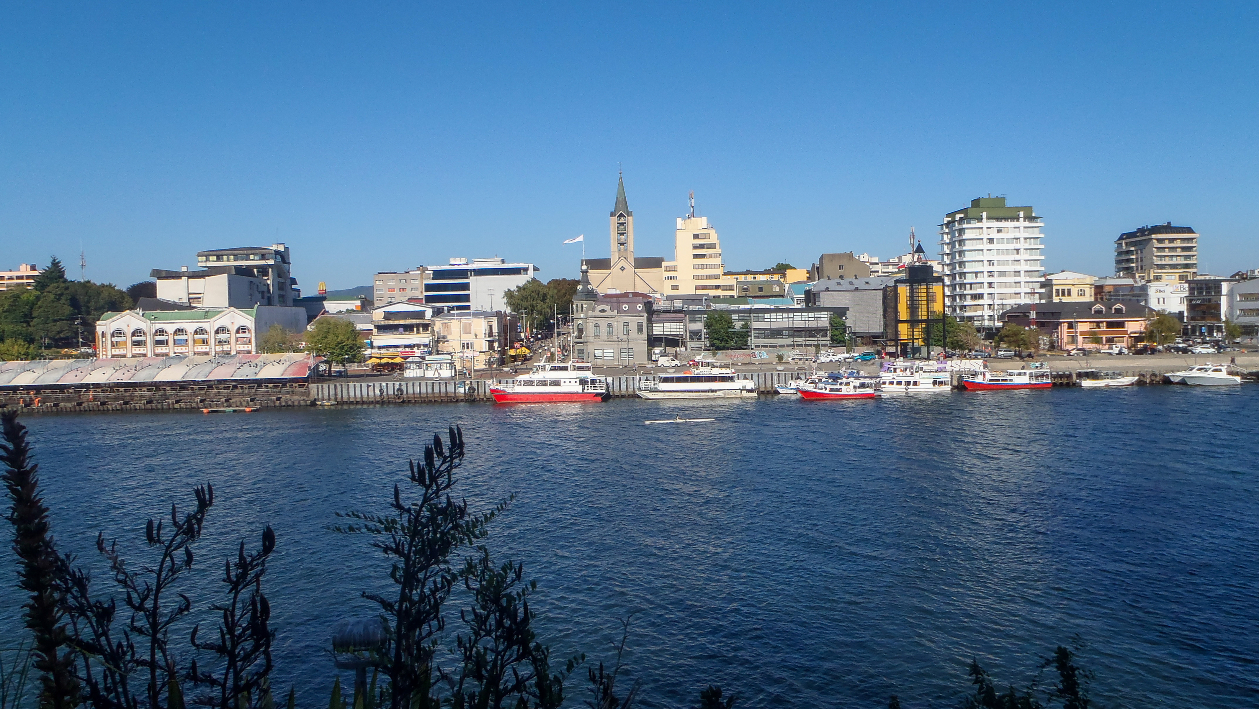 Tu operación en manos expertas